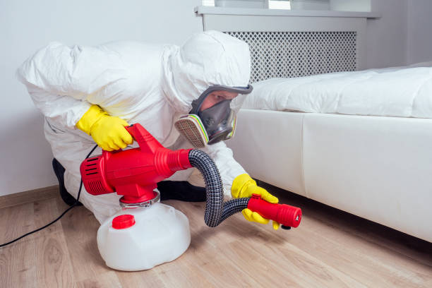 Best Fumigation Services  in Brookville, NY